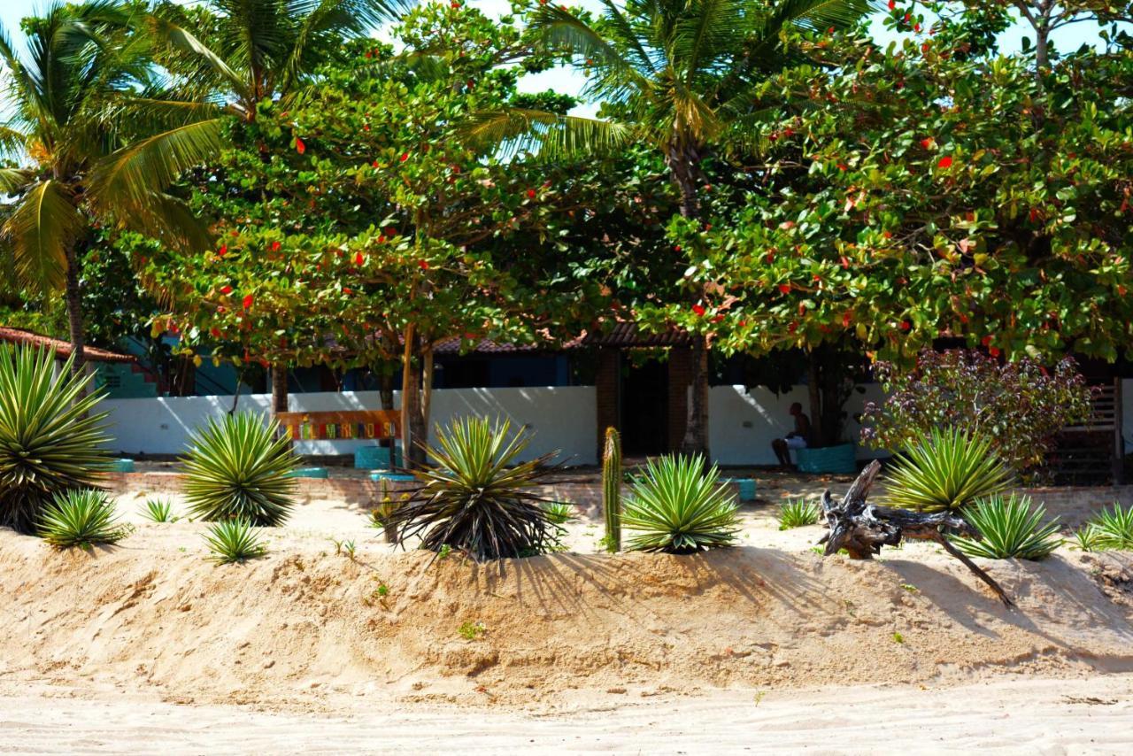 Hostel America Do Sul Jijoca de Jericoacoara Exteriér fotografie